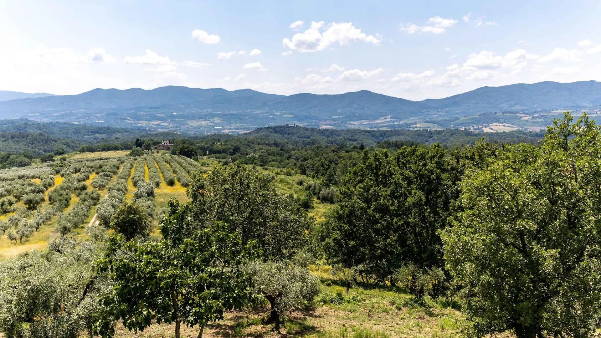 Fattoria Montalbano Villa Reggello 0*,  Italy